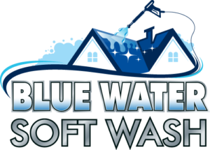 blue logo 02
