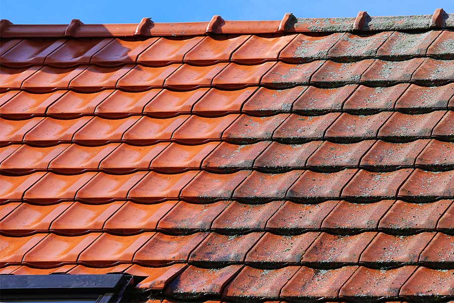 roof washing tallahassee fl